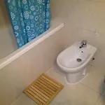 Guest house Carlos Iii